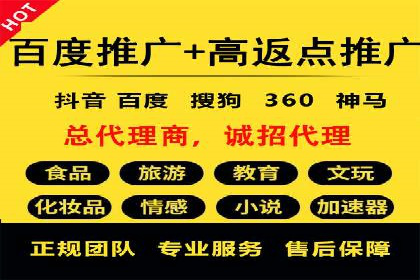 百度竞价包年推广策略深度解读与案例分析